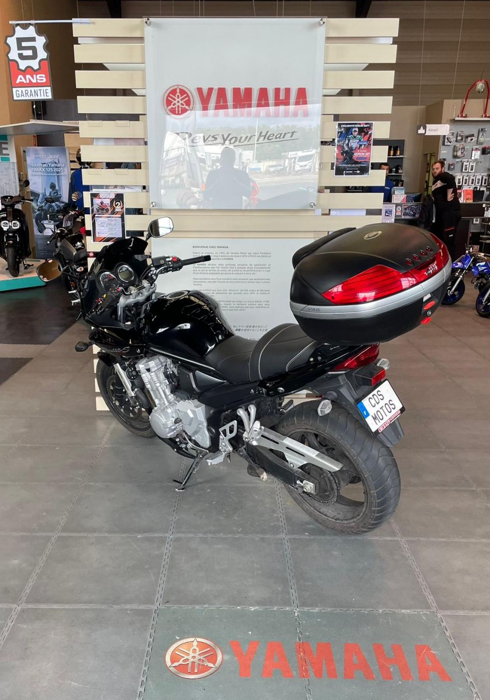 SUZUKI GSF 1250 S BANDIT 4