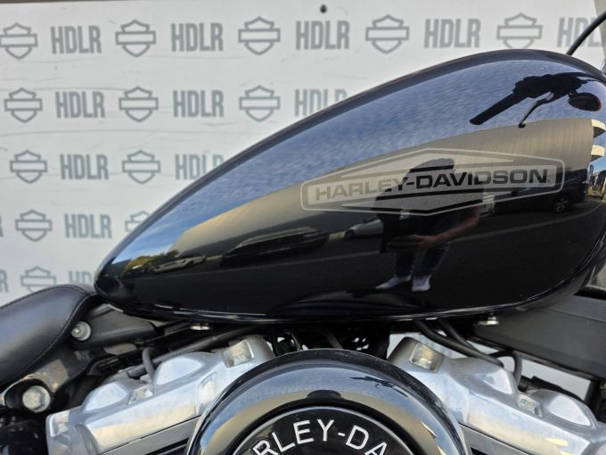 HARLEY-DAVIDSON SOFTAIL STANDARD 1745 4