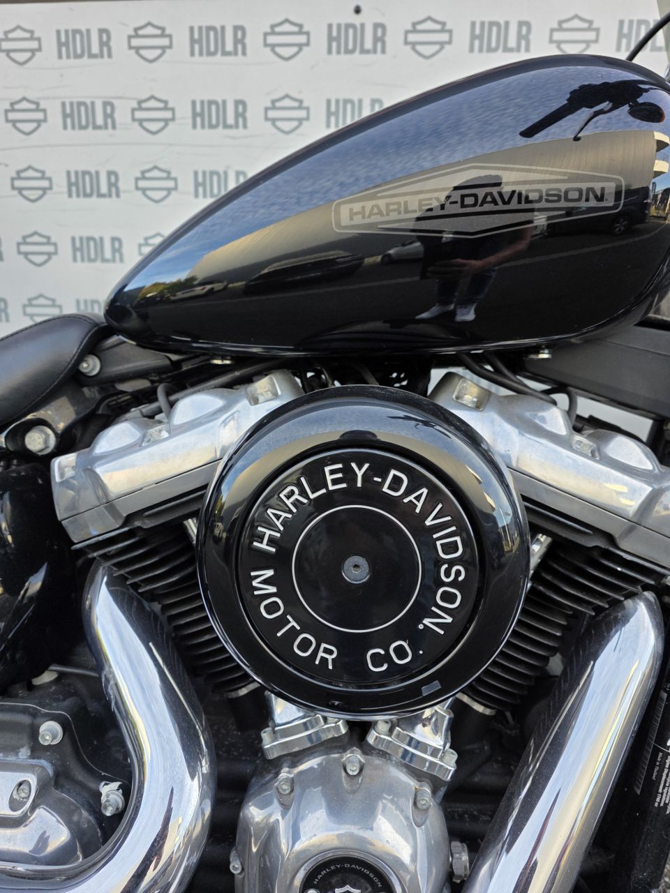 HARLEY-DAVIDSON SOFTAIL STANDARD 1745 4