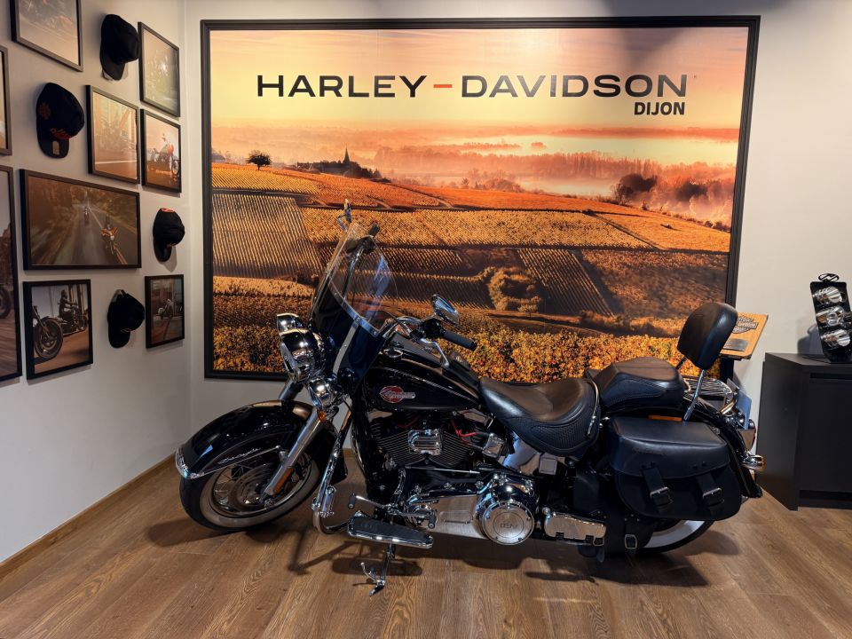HARLEY-DAVIDSON SOFTAIL DELUXE 1690 4