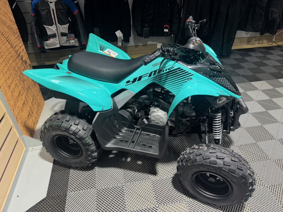 YAMAHA YFM 110 RAPTOR 4