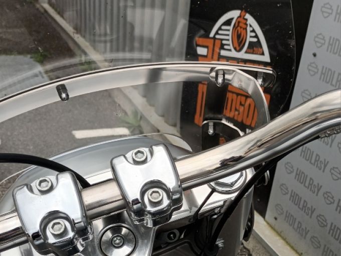 HARLEY-DAVIDSON SOFTAIL FAT BOY 1868 4