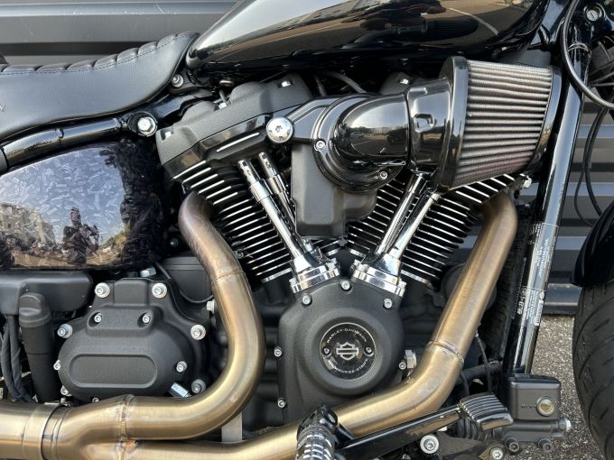 HARLEY-DAVIDSON SOFTAIL LOW RIDER 1868 S 4