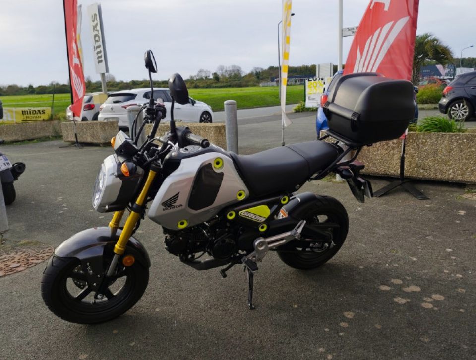HONDA MSX125 Grom 4