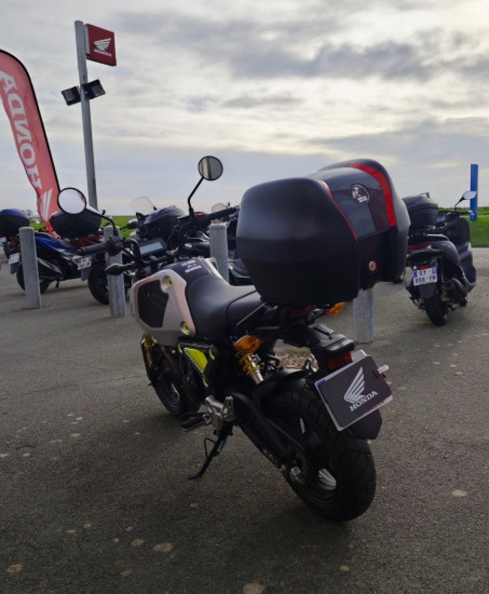 HONDA MSX125 Grom 4
