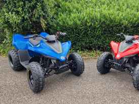 CF MOTO CFORCE - 2025