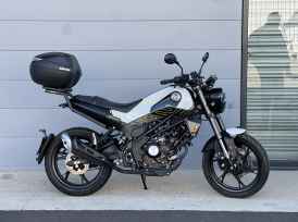 BENELLI LEONCINO 125 - 2024