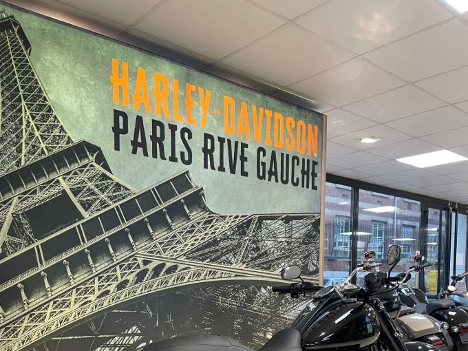 HARLEY-DAVIDSON TOURING ROAD KING 1745 SPECIAL 4