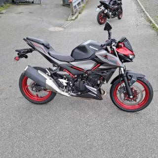 KAWASAKI Z 500 SE - 2024