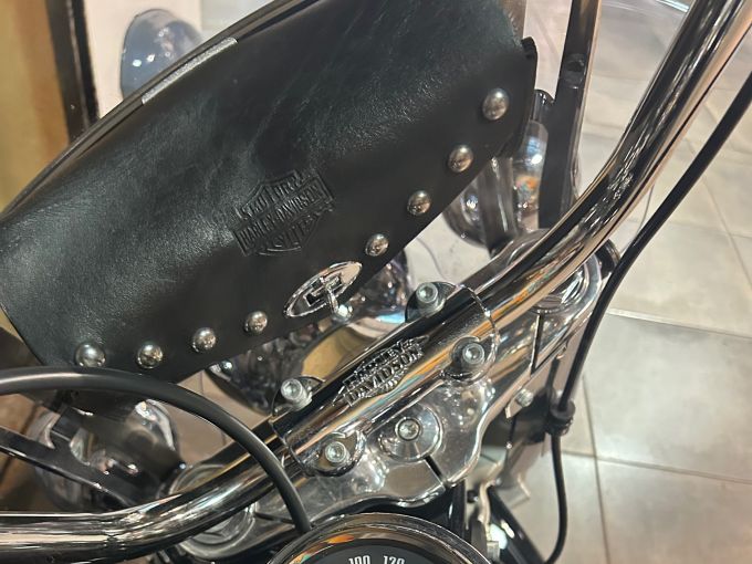 HARLEY-DAVIDSON SOFTAIL HERITAGE 1868 CLASSIC 4