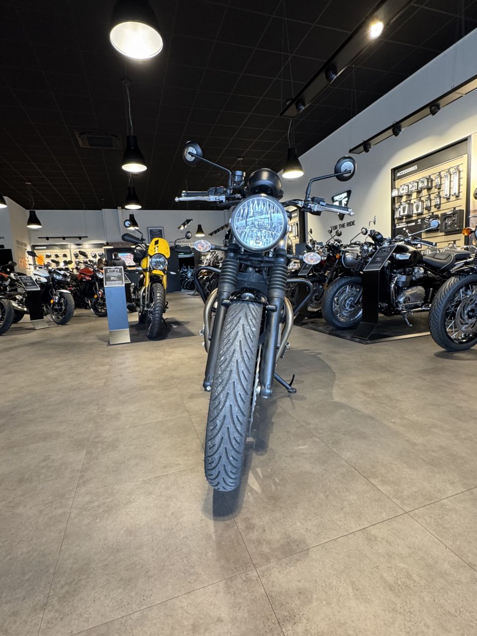 TRIUMPH SPEED TWIN 900 4