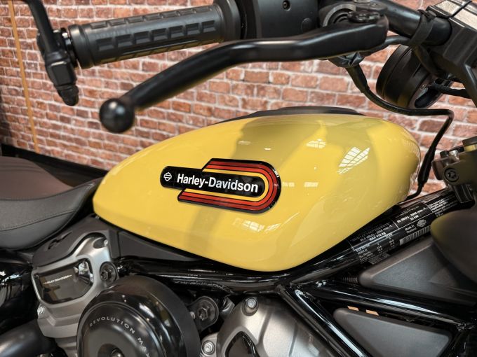 HARLEY-DAVIDSON SPORTSTER NIGHTSTER 975 SPECIAL 4