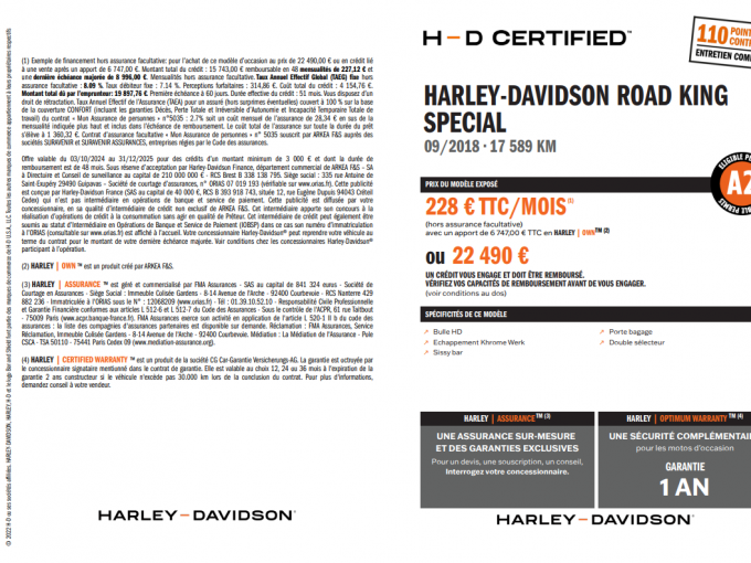 HARLEY-DAVIDSON TOURING ROAD KING 1868 SPECIAL 4