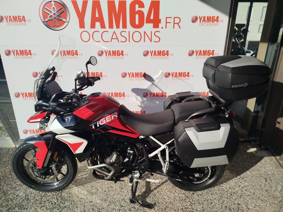 TRIUMPH TIGER 900 GT ARAGON EDITION 4