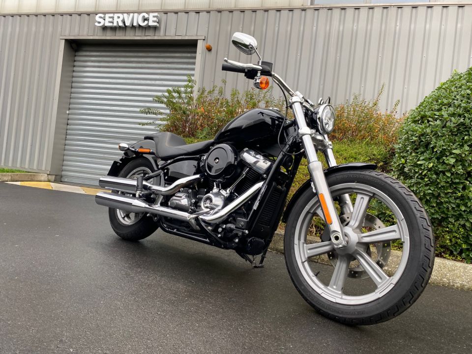 HARLEY-DAVIDSON SOFTAIL STANDARD 1745 4