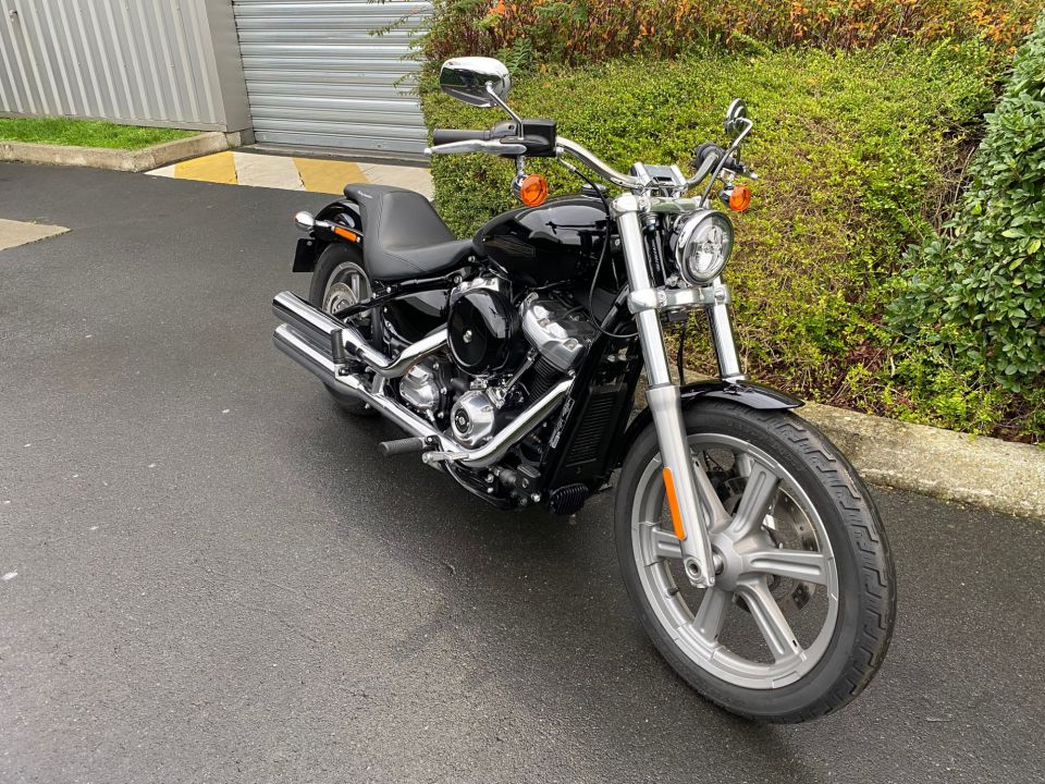 HARLEY-DAVIDSON SOFTAIL STANDARD 1745 4