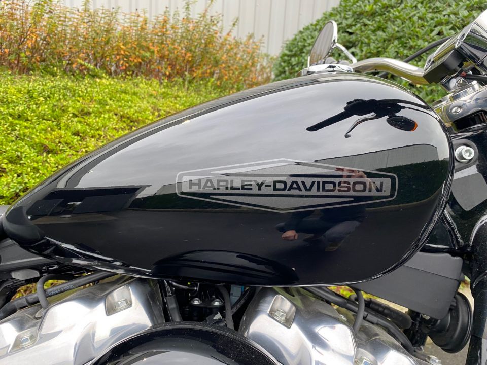 HARLEY-DAVIDSON SOFTAIL STANDARD 1745 4