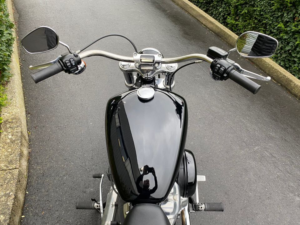 HARLEY-DAVIDSON SOFTAIL STANDARD 1745 4
