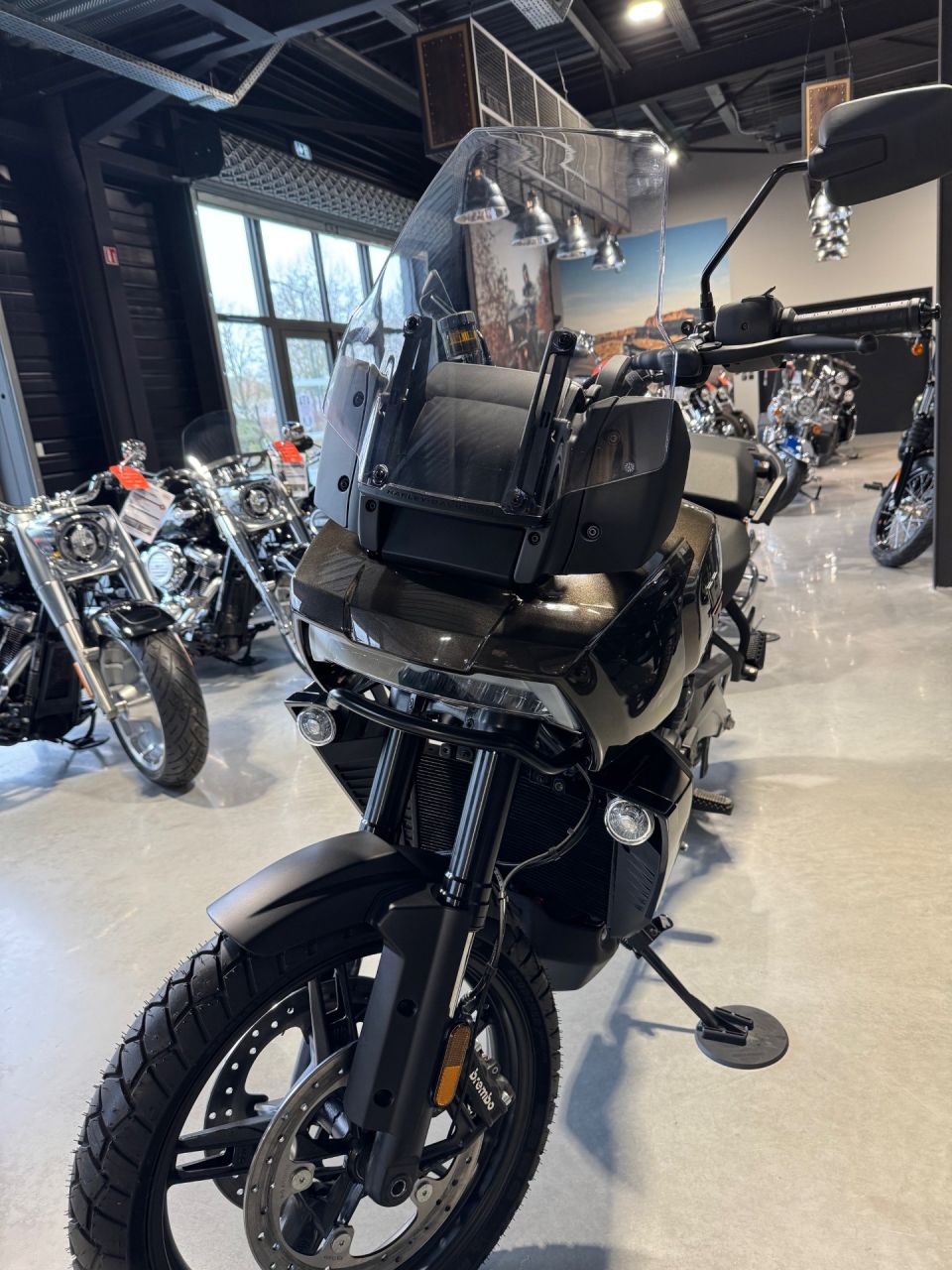 HARLEY-DAVIDSON ADVENTURE PAN AMERICA 1250 4