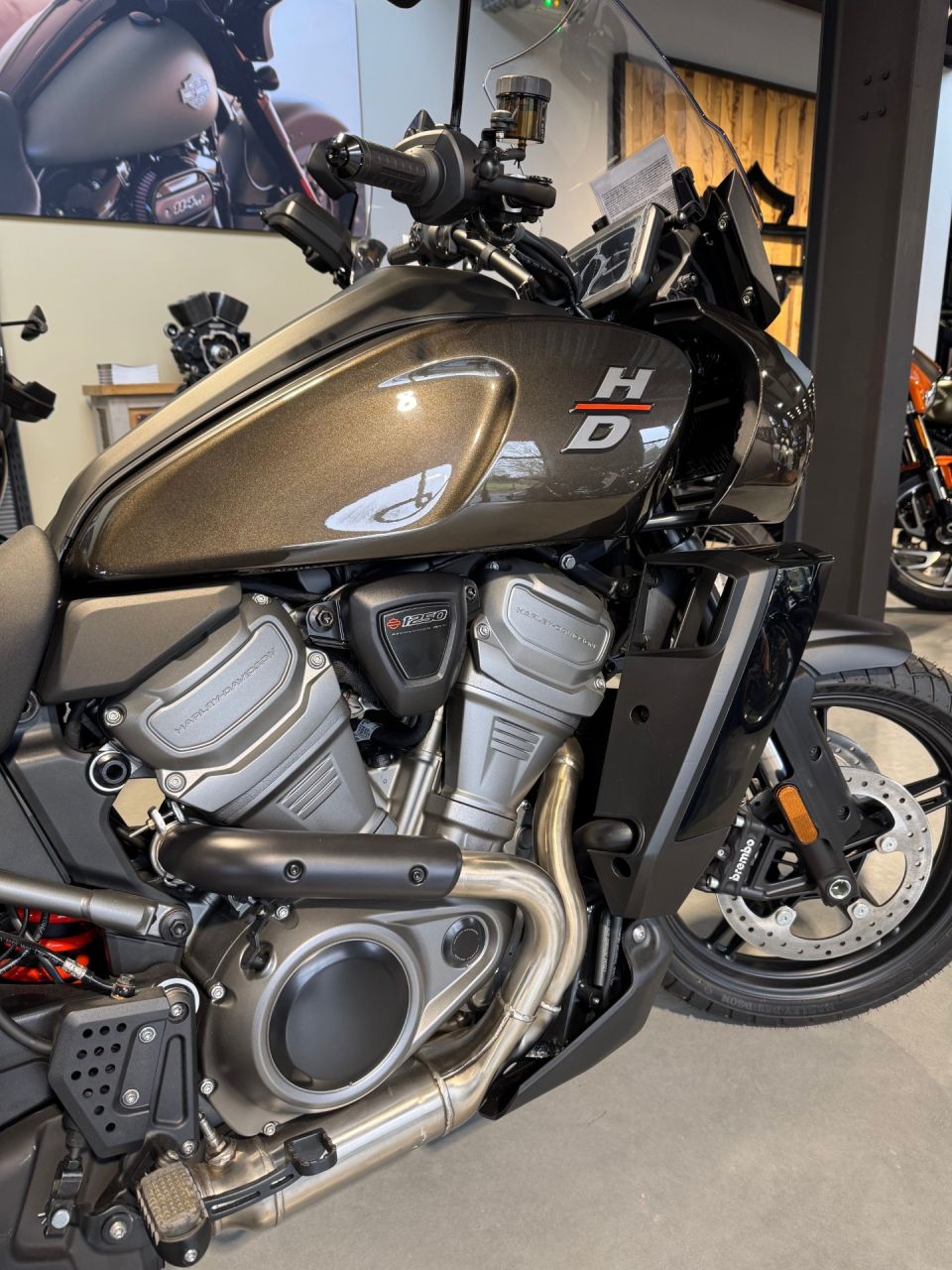 HARLEY-DAVIDSON ADVENTURE PAN AMERICA 1250 4