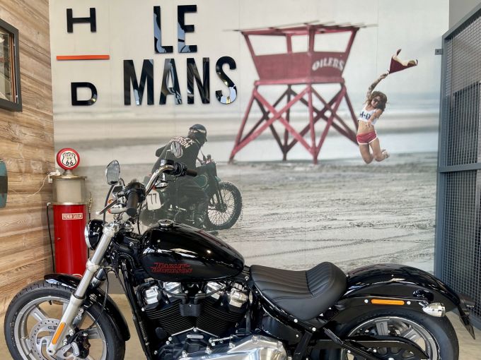 HARLEY-DAVIDSON SOFTAIL STANDARD 1745 4