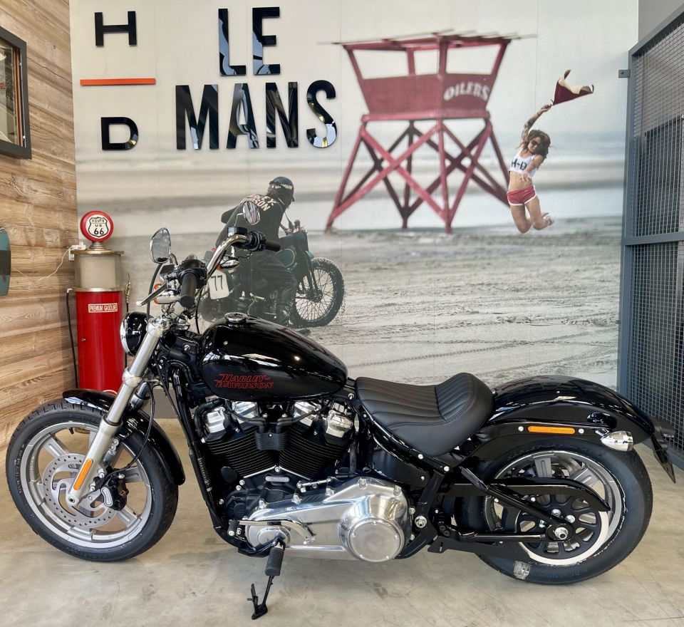 HARLEY-DAVIDSON SOFTAIL STANDARD 1745 4