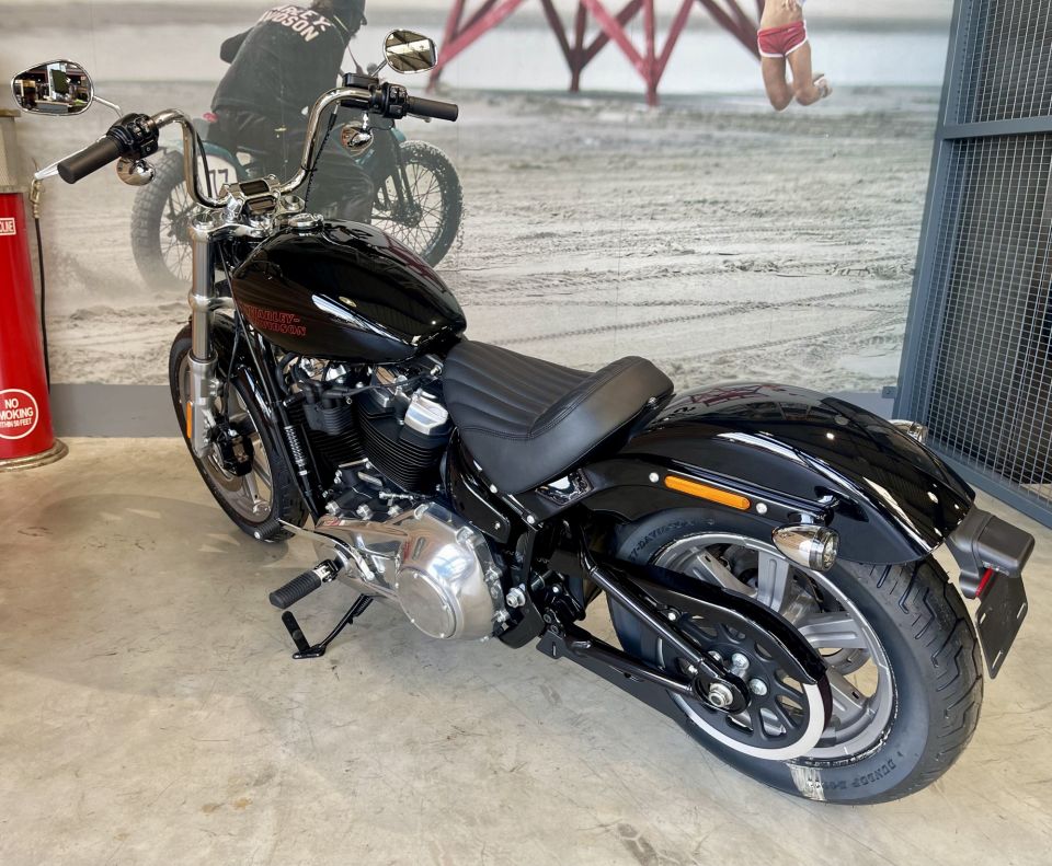 HARLEY-DAVIDSON SOFTAIL STANDARD 1745 4