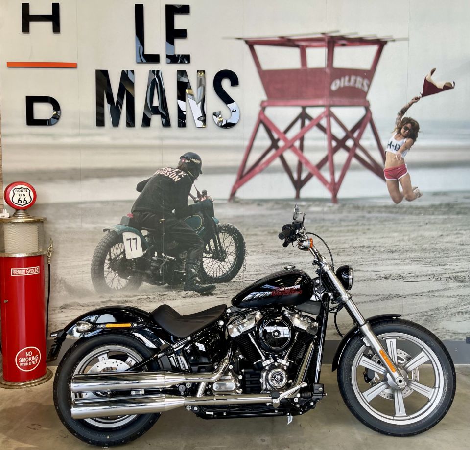 HARLEY-DAVIDSON SOFTAIL STANDARD 1745 4