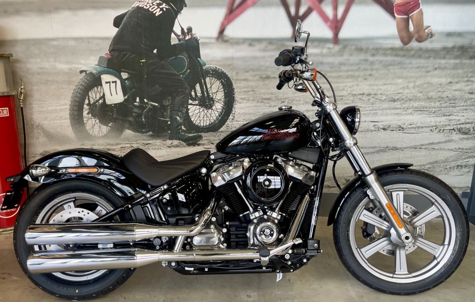 HARLEY-DAVIDSON SOFTAIL STANDARD 1745 4