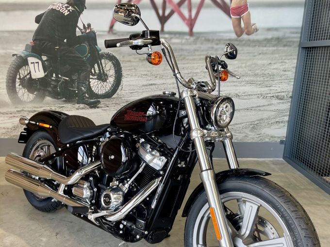 HARLEY-DAVIDSON SOFTAIL STANDARD 1745 4