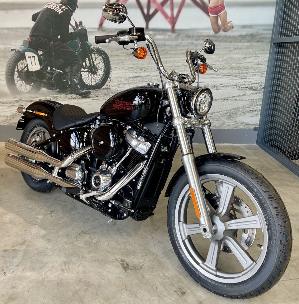 HARLEY-DAVIDSON SOFTAIL STANDARD 1745 4