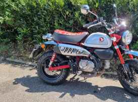 HONDA Z125 MONKEY - 2024