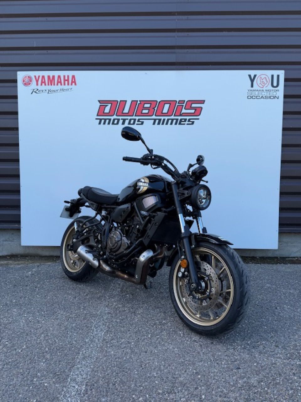 YAMAHA XSR 700 4