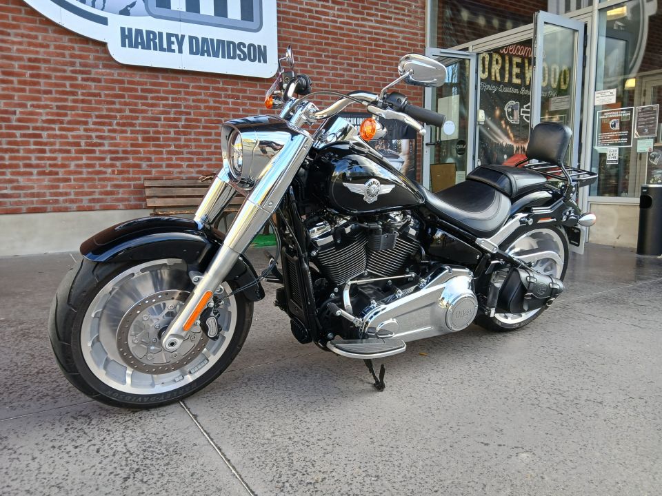 HARLEY-DAVIDSON SOFTAIL FAT BOY 1868 4