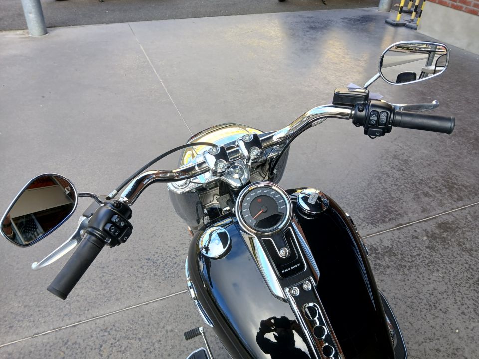 HARLEY-DAVIDSON SOFTAIL FAT BOY 1868 4