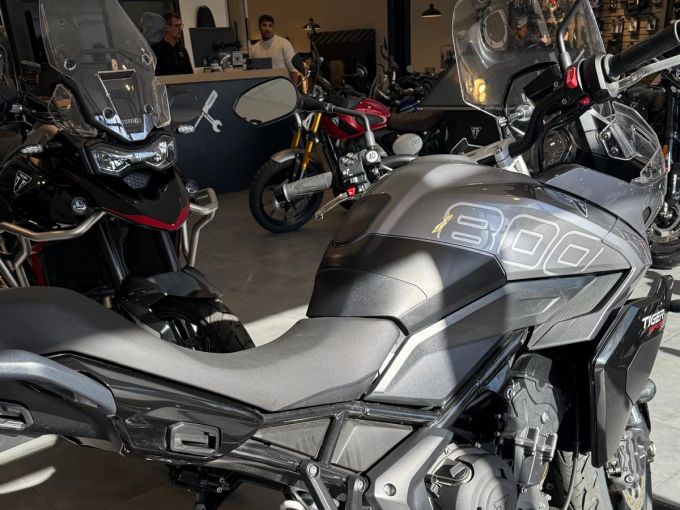 TRIUMPH TIGER 800 4