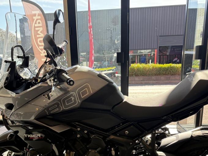 TRIUMPH TIGER 800 4