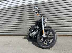 HARLEY-DAVIDSON SOFTAIL STANDARD 1745 - 2024