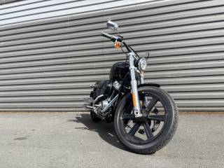 HARLEY-DAVIDSON SOFTAIL STANDARD 1745 - 2024