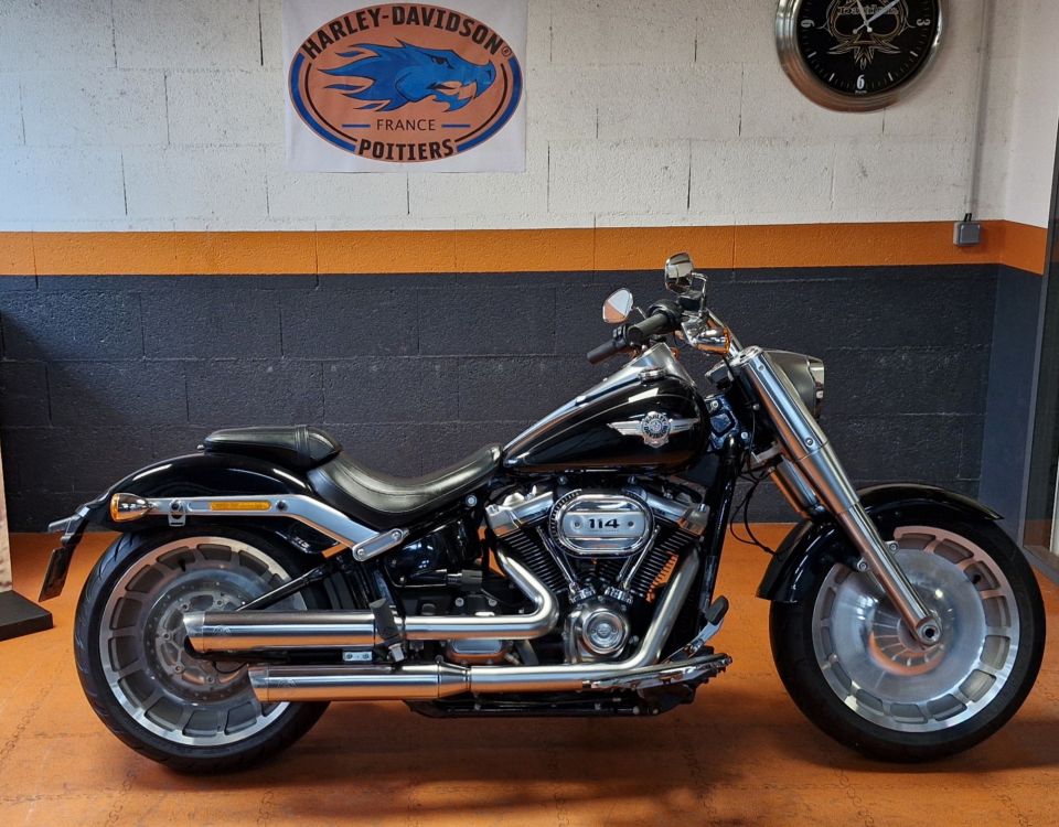HARLEY-DAVIDSON SOFTAIL FAT BOY 1868 4