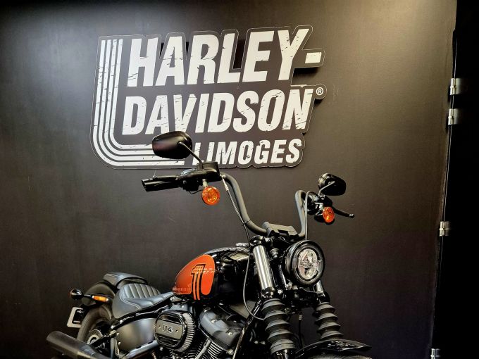 HARLEY-DAVIDSON SOFTAIL STREET BOB 1868 4