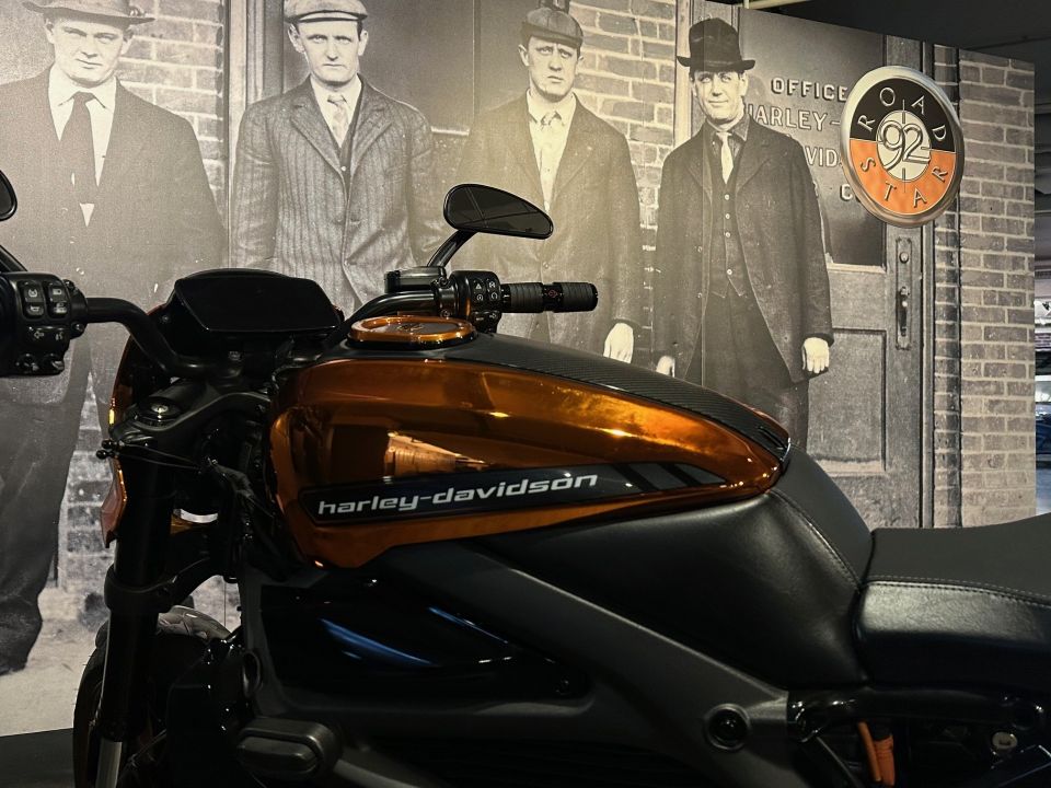 HARLEY-DAVIDSON LiveWire 4