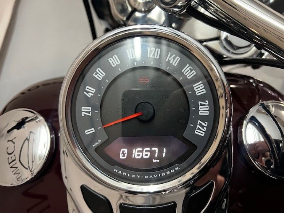 HARLEY-DAVIDSON SOFTAIL DELUXE 1745 4