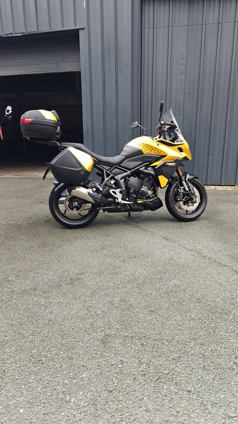 TRIUMPH Tiger Sport 800 4