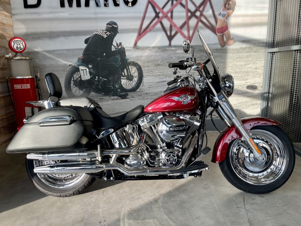 HARLEY-DAVIDSON SOFTAIL FAT BOY 1690 4