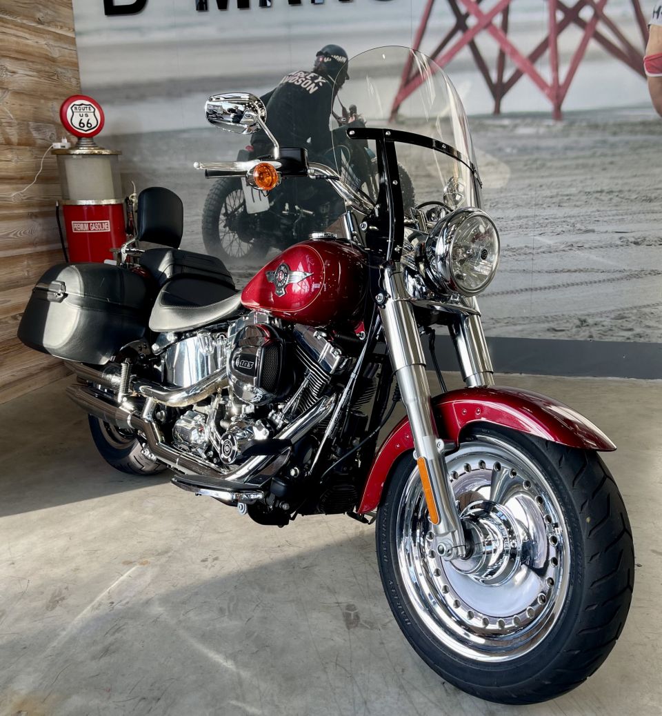 HARLEY-DAVIDSON SOFTAIL FAT BOY 1690 4