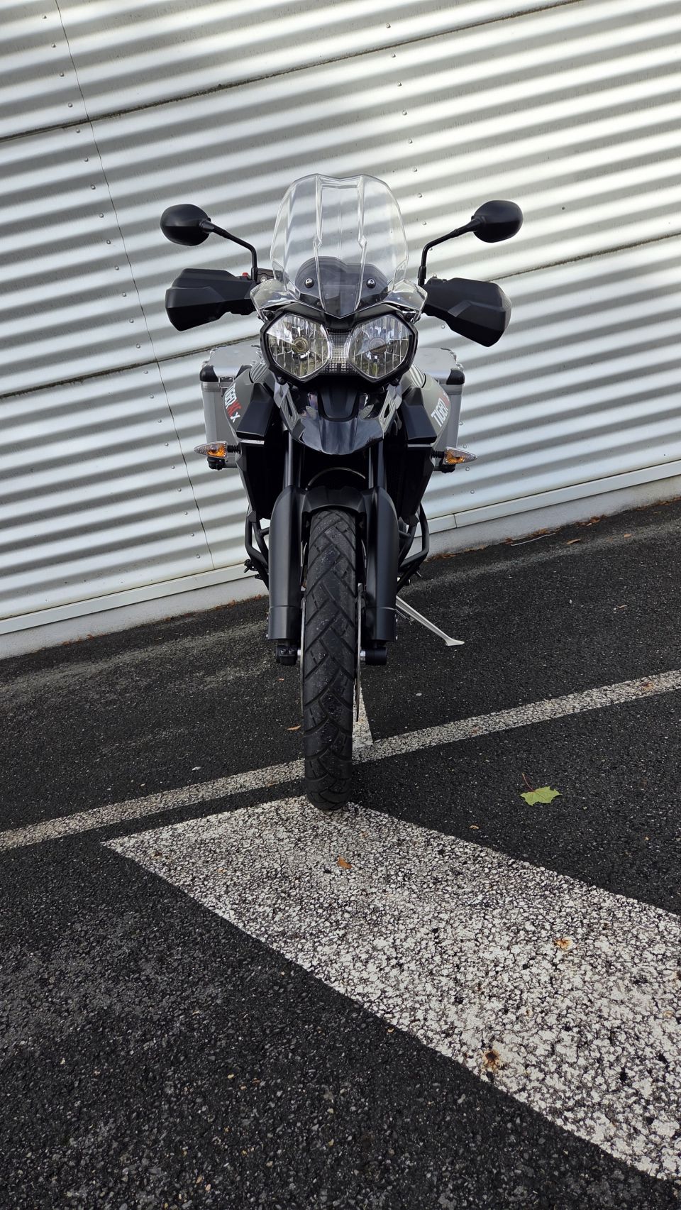 TRIUMPH TIGER 800 XCX 4