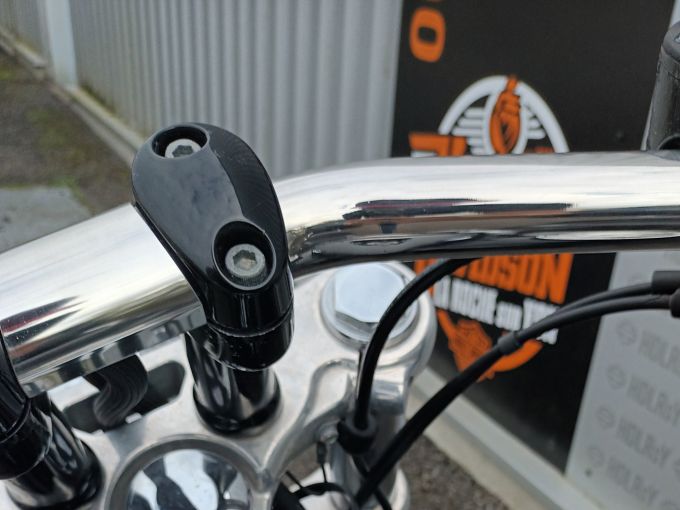 HARLEY-DAVIDSON DYNA FAT BOB 1584 4