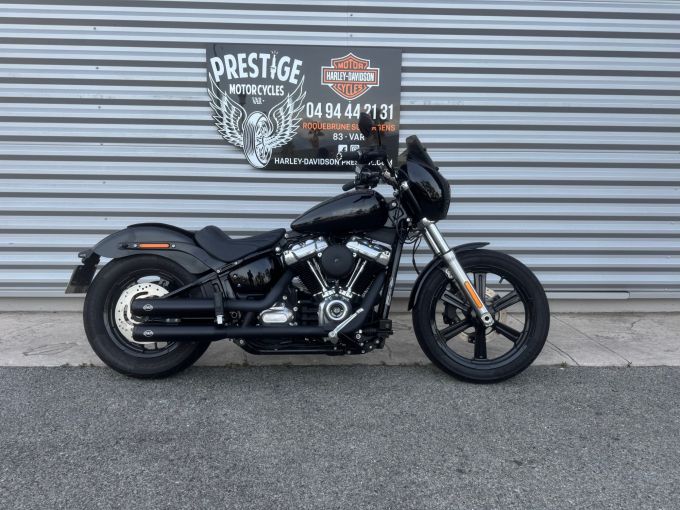 HARLEY-DAVIDSON SOFTAIL STANDARD 1745 4