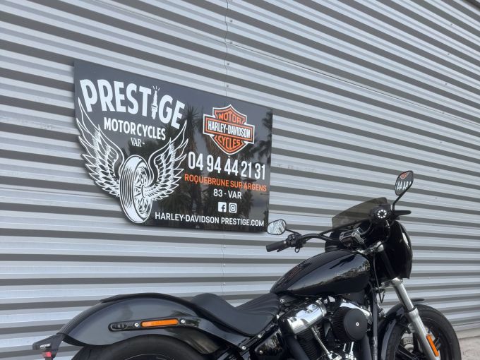 HARLEY-DAVIDSON SOFTAIL STANDARD 1745 4